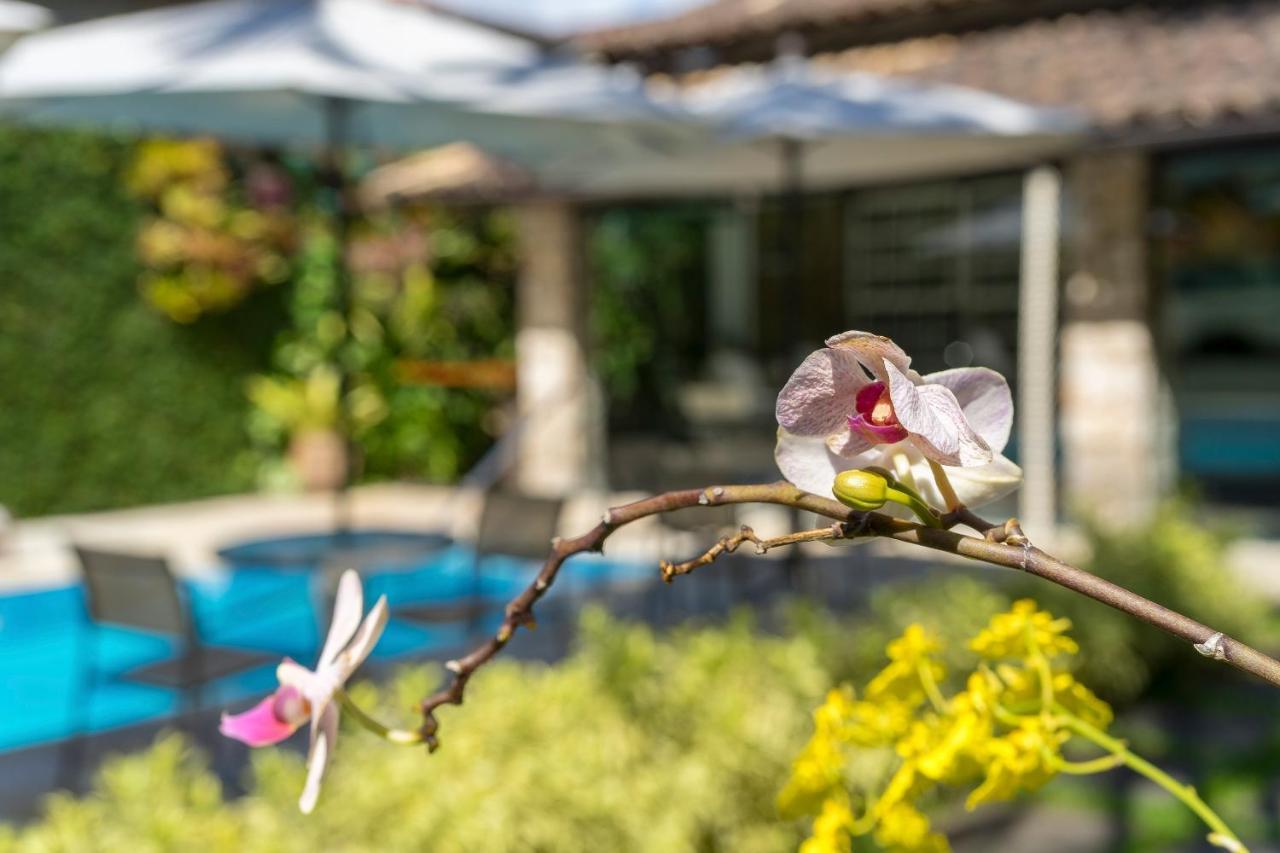 Casa Nostra Guest house 2*