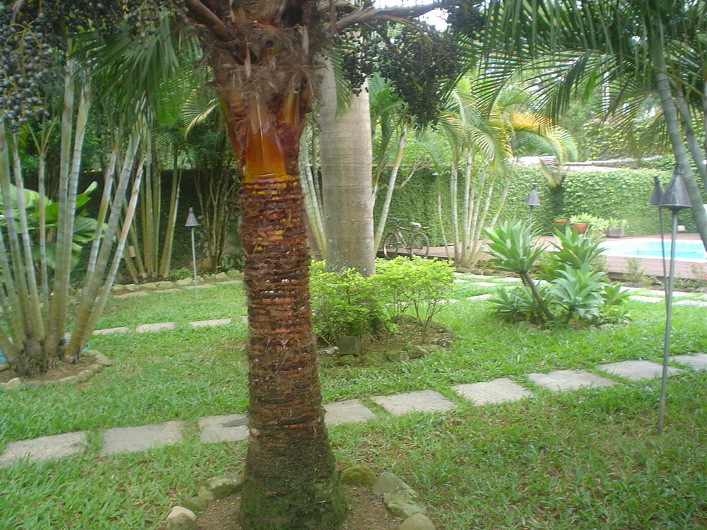 Casa Nostra 2*